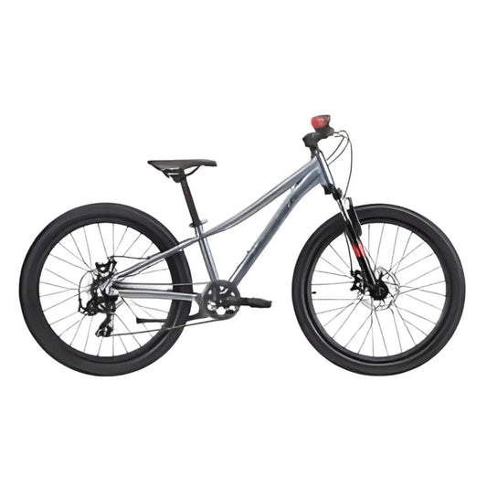 20 Inch Kids Bicycle for Daily Ride
