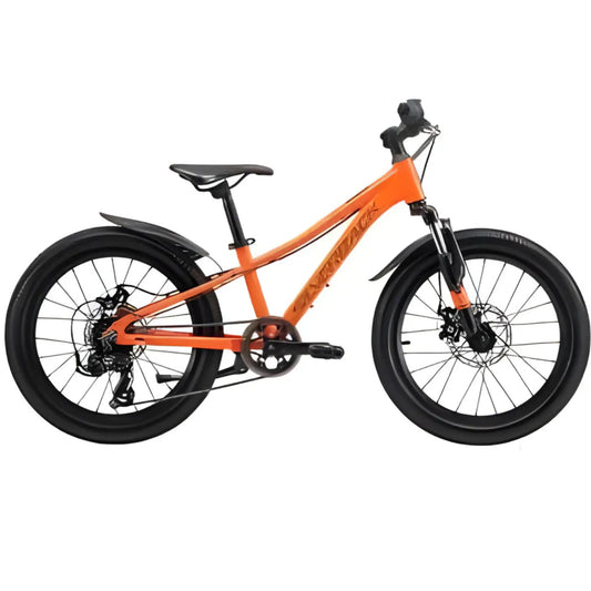 20-inch kids bicycle for daily riding on a sidewalk.