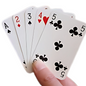 Premium, classic playing cards for game night