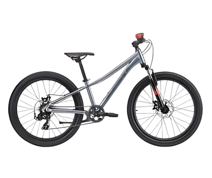20 Inch bicycle