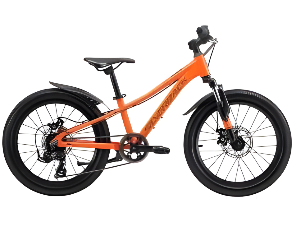 20 Inch Kids Bicycle for Daily Ride
