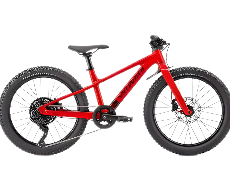 20 Inch Kids Bicycle for Daily Ride