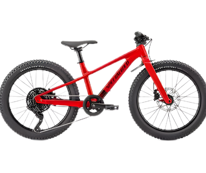 20 Inch bicycle
