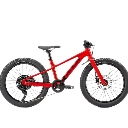 20 Inch Kids Bicycle for Daily Ride