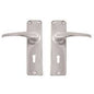 Door Lock Metal